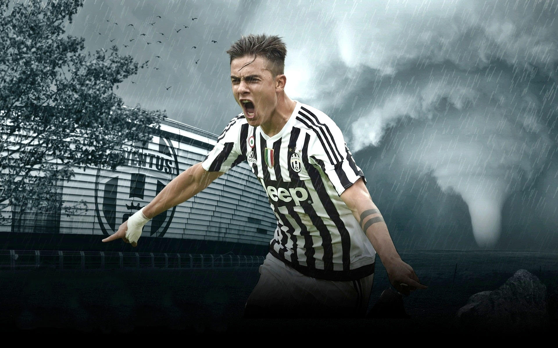 爱奇艺体育主体公司易主，2024年曾因世预赛直播问题引发不满