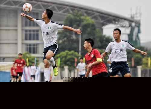 则是他