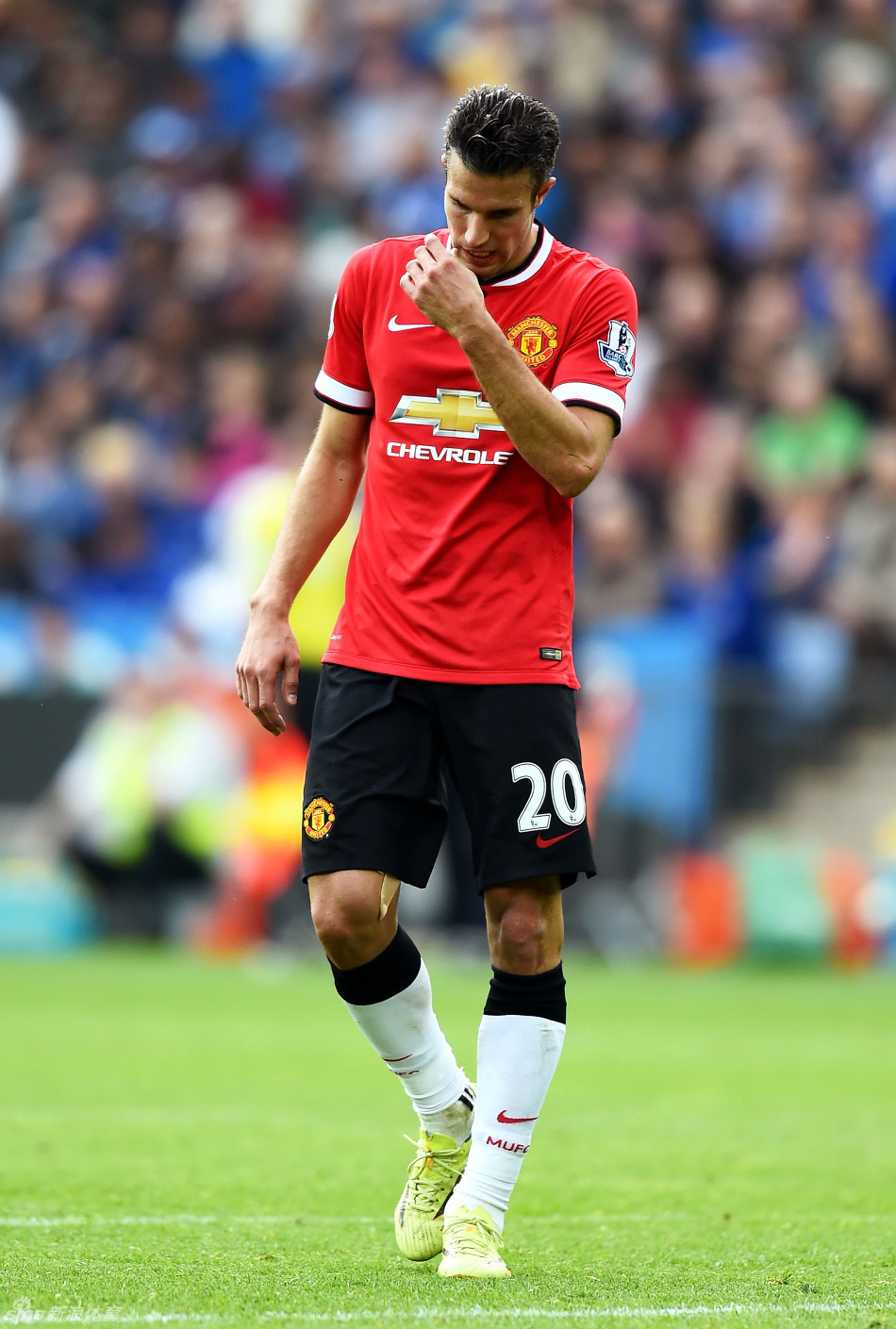 维拉与布伦特福德的重大交易，五千万的锋线答案